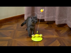 Donut Delight Cat Toy - Teaser avanzato rotante a molla