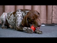 Doy di costole duraturo e stridente