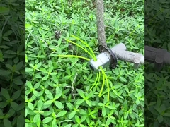 linea del regolatore