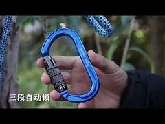 Aluminico 30KN Outdoor Carabiner Logo personalizzato e colore D Forma di arrampicata Snap Hook