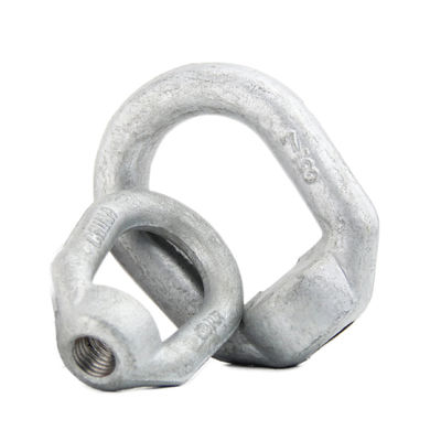 Un buon prezzo. Industria generale Fuso di acciaio elettrico Hardware di palo Oval Eye Nut con standard DIN in linea