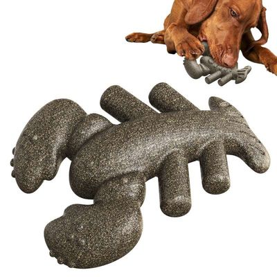 Giocattolo per masticare l' aragoste per cani