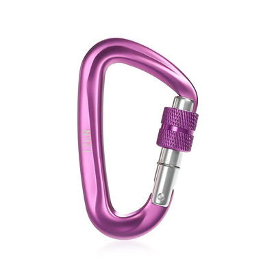 Un buon prezzo. Piccolo Safety Snap Hook Clip Aluminium Alloy Keychain Locking Carabiner per l'approvazione OEM in linea