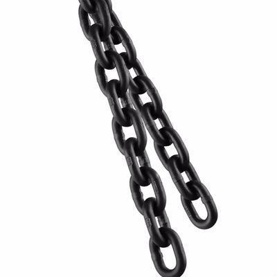 Un buon prezzo. Catena di sollevamento professionale per applicazioni di sollevamento di pesi sicure e precise in linea