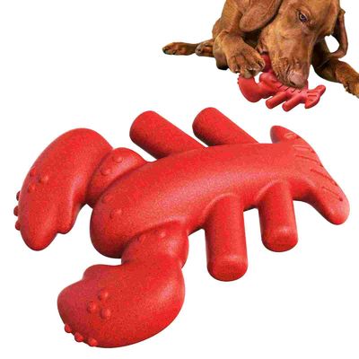 Un buon prezzo. Indistruttibile giocattolo da masticare per cani di aragoste - Ultima durata in linea