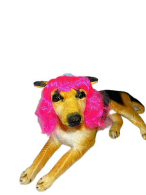 Un buon prezzo. Colori arcobaleno robusto di nylon pet Toupees una taglia si adatta a tutti Materiale asciuga veloce Ideale per tutte le stagioni e l'avventura in linea