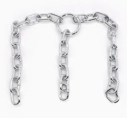 Specializzata nella fornitura di filiere di produzione a catena corta per la catena trasportatrice